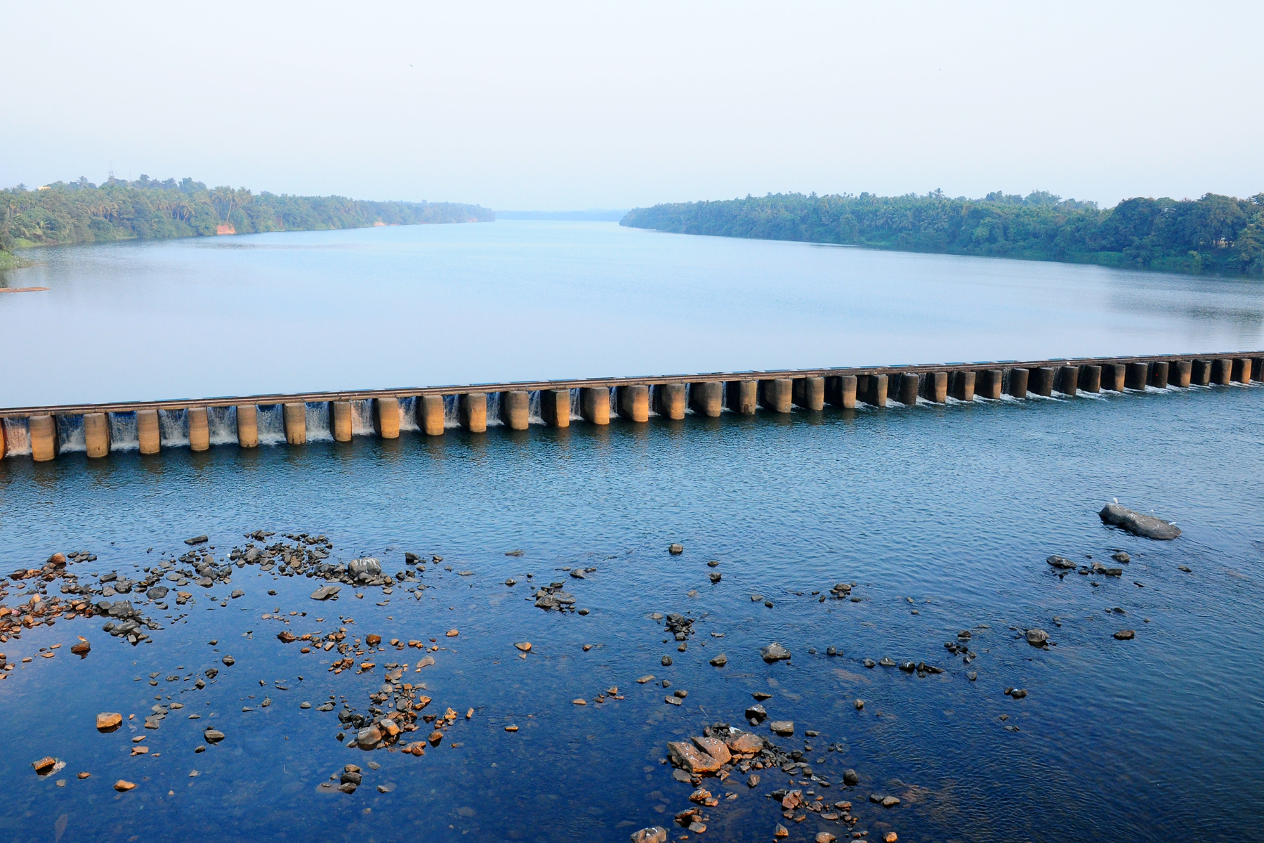 ಧಾರಾಕಾರ ಮಳೆ: ನೇತ್ರಾವತಿ ನದಿಯಲ್ಲಿ ನೀರಿನ ಮಟ್ಟ ಏರಿಕೆ